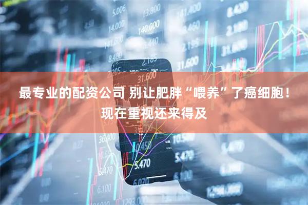 最专业的配资公司 别让肥胖“喂养”了癌细胞！现在重视还来得及